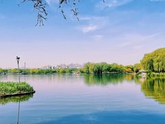 -石家庄市植物园