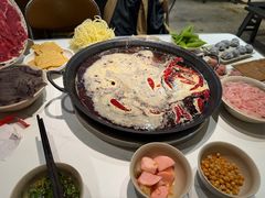 -朱氏胖子烂火锅(洪崖洞店)