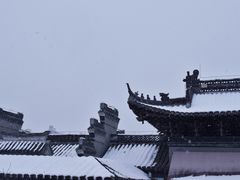 -水绘园