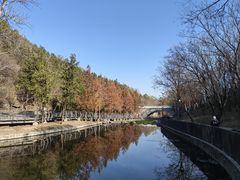 -白水寺森林公园