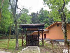 -天花井景区