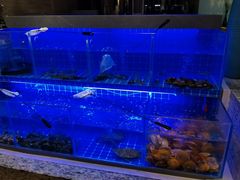 -厦门宝龙铂尔曼大酒店·海鲜自助餐厅
