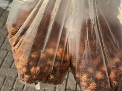-源宗盛粽子汤圆