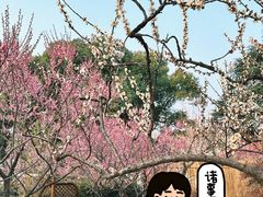 -无锡梅园公园