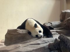 -宁波野生动物园