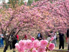 -莲花池公园