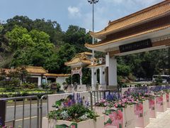-深圳仙湖植物园