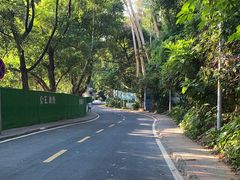 -火炉山森林公园