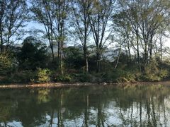 -九曲溪竹筏码头