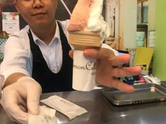 -柠檬车露(卖草地店)