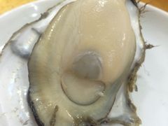 -蚝专家(北滘店)