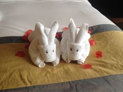 iphone_upload_pic-天目湖涵田度假村