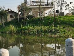 -王借岗森林公园