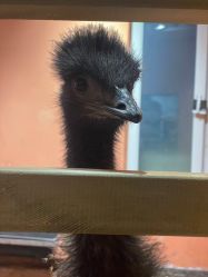 -Zoolung Zoolung动物主题公园(海信广场店)