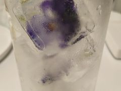 -CHEZ JASMINE 茉莉的氧气厨房