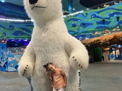 -青岛嘉年华主题乐园