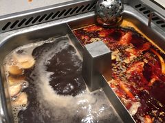 清油麻辣锅底-海底捞火锅(老城根店)