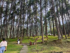 -硗碛藏寨·神木垒景区