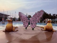 -泉城欧乐堡水上世界