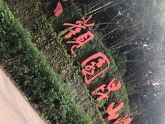 -大观园昆山峡漂流