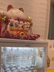 -和颜一美轻医美连锁