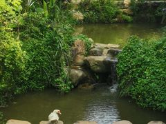 -广州锦绣香江度假别墅