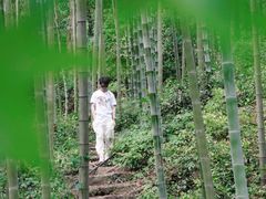 -黄公望隐居地