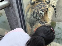 -西霞口神雕山野生动物世界