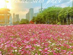 -海心沙亚运公园