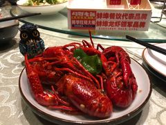 -阿财老铺·老蚌埠龙虾城(华夏总店)