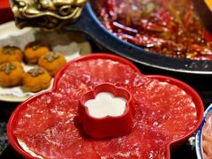 -蜀大侠火锅(总府路店)