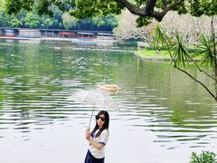-晓港公园