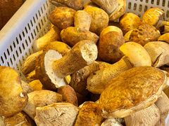 -菌自由丨野生菌火锅特色庭院餐厅(丽江古城店)