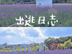 -紫颐香薰山谷景区