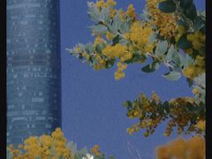 -海心沙亚运公园