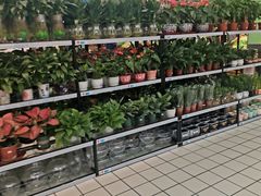 -大润发(鹤山店)