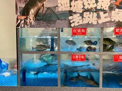 -田园印象·成都土菜院子(华阳店)