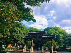 -杭州半山国家森林公园