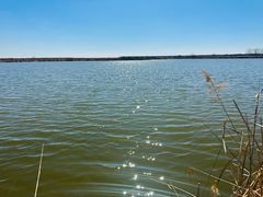 -盐城丹顶鹤湿地生态旅游区