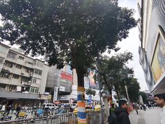 -广州白马服装市场