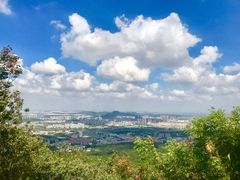 -紫金山山顶公园
