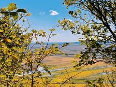 -北纬44度·金珠花海休闲农业旅游景区