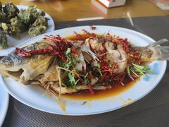 -微山岛春天里酒家