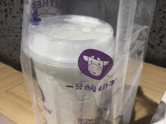 -一只酸奶牛(曲江龙湖星悦荟店)