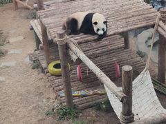 -大连森林动物园