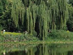 -洛龙公园