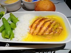 -德国汉莎航空公司