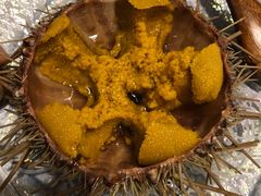 活海胆-游You House(西单老佛爷店)