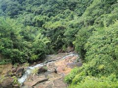 -广州白江湖森林公园