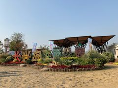 -上海长兴岛郊野公园